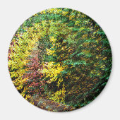 秋の旋風…..... マグネット (正面)