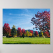 秋の日の公園ポスター ポスター (正面)