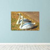 秋の日差しの中で白鳥が2羽 キャンバスプリント (インサイチュ (ウッドフロア))