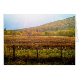 秋の日曜日の光線