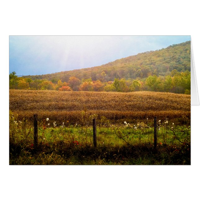 秋の日曜日の光線 (正面横)