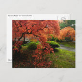 秋の日本のな庭の日本のなかえで ポストカード (正面/裏面)