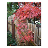 秋の日本の楓葉と竹のフェンス フォトプリント            (正面)