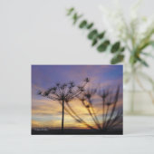 秋の日没エコー葉書 ポストカード (スタンド正面)