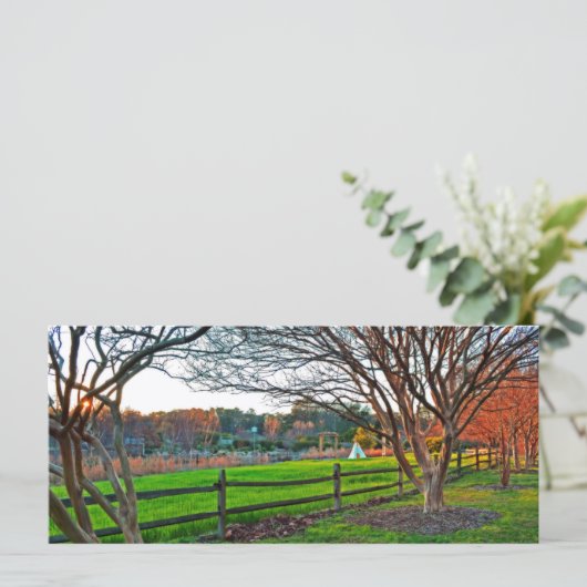 秋の日没バイシャーリーテイラー (スタンド正面)