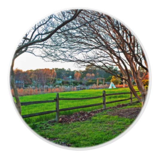 秋の日没バイシャーリーテイラー セラミックノブ (正面)