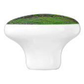 秋の日没バイシャーリーテイラー セラミックノブ (側面)