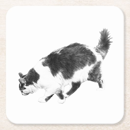秋の日陰で猫が徘徊 スクエアペーパーコースター (正面)