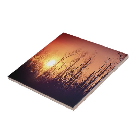 秋の日 タイル (側面)