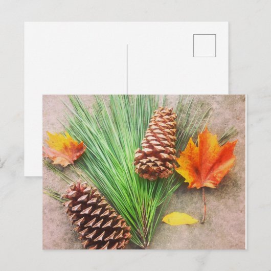 秋の日 ポストカード (正面/裏面)