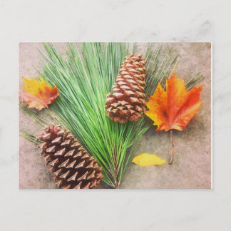 秋の日 ポストカード