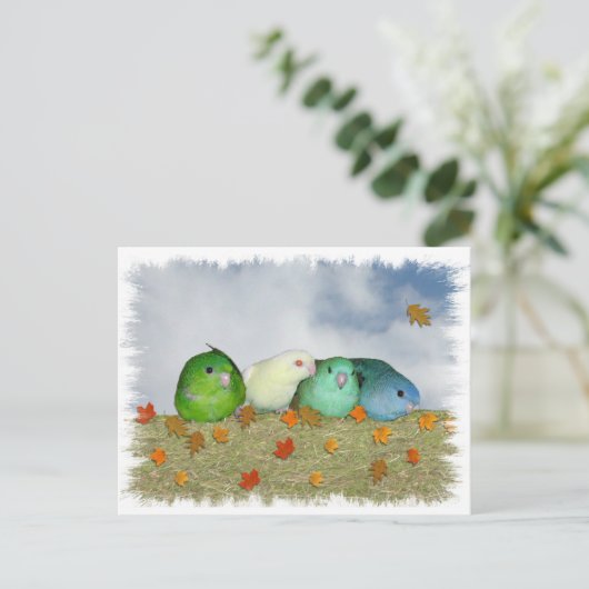 秋の日 ポストカード (スタンド正面)