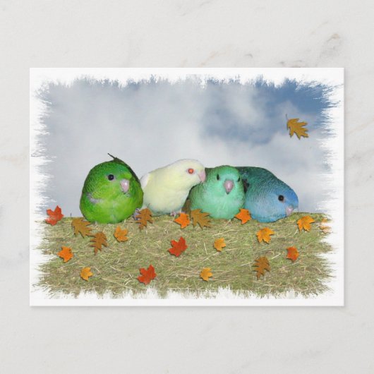 秋の日 ポストカード (正面)