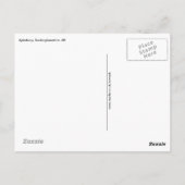 秋の日 ポストカード (裏面)