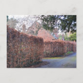 秋の日 ポストカード (正面)