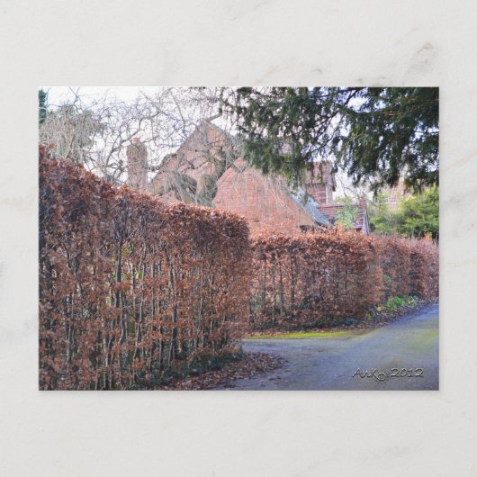 秋の日 ポストカード (正面)