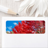 秋の明るい離れ赤い木 ラベル (インサイチュ)