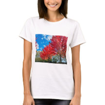 秋の明るい離れ赤い木