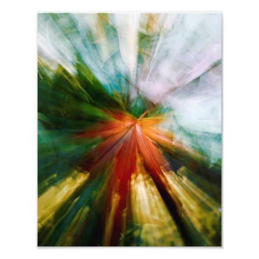 秋の時の経過 フォトプリント            (正面)