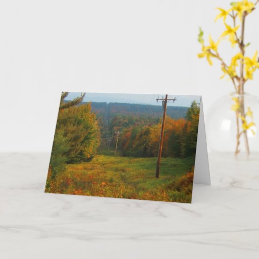 秋の景色 カード (黄色い花)