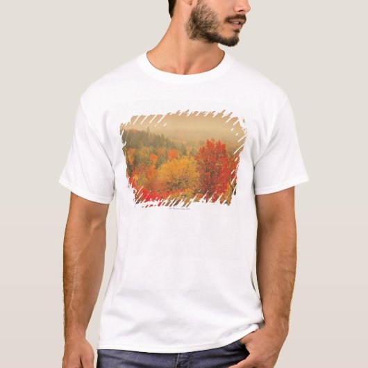 秋の景色、ニューハンプシャー、米国 Tシャツ (正面)