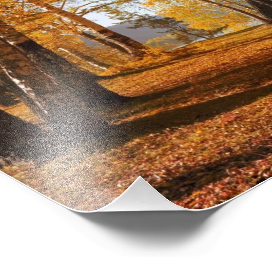 秋の景色 フォトプリント            (角)