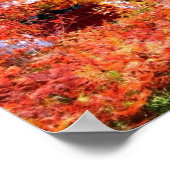 秋の景色 ポスター (角)