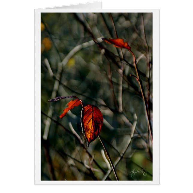 秋の最後の踊り (正面)