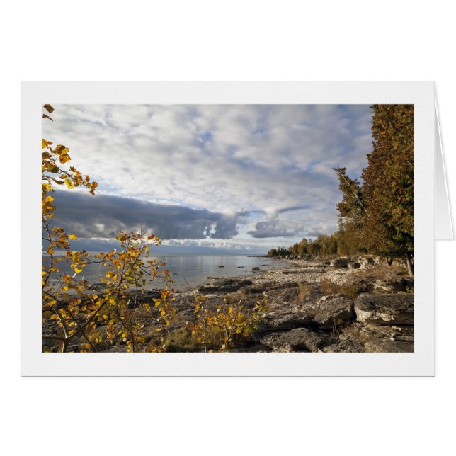 秋の朝かミシガン湖 (正面横)