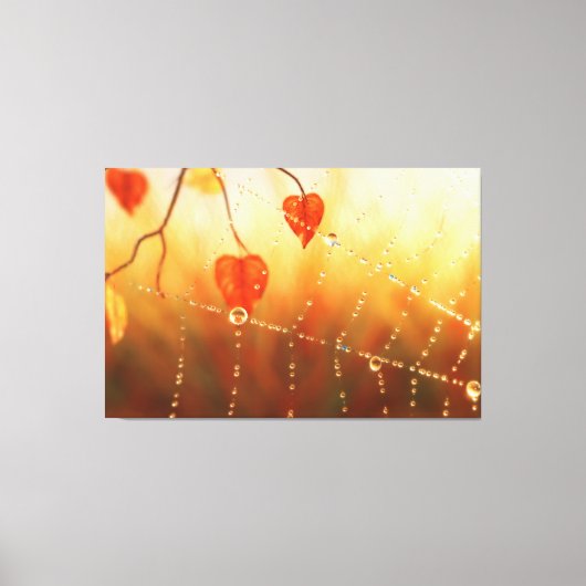 秋の朝のキャンバスの宝石 キャンバスプリント (正面)