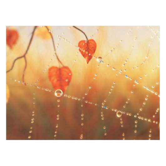 秋の朝のテーブルクロスの宝石 テーブルクロス (正面(横))