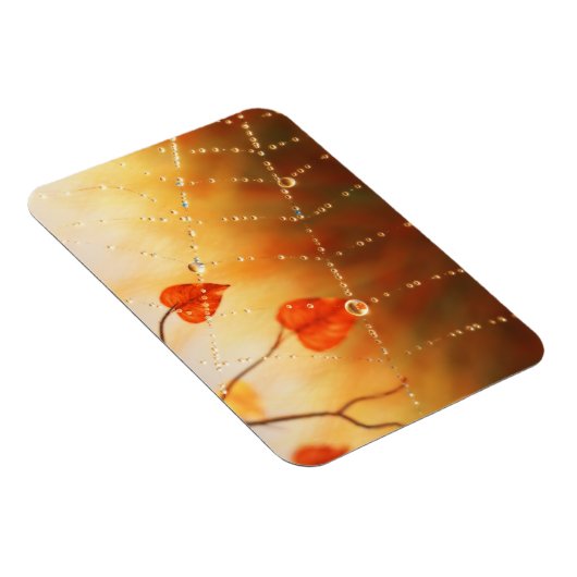 秋の朝のマグネットの宝石 マグネット (右側)