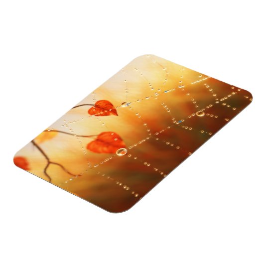 秋の朝のマグネットの宝石 マグネット (左側)