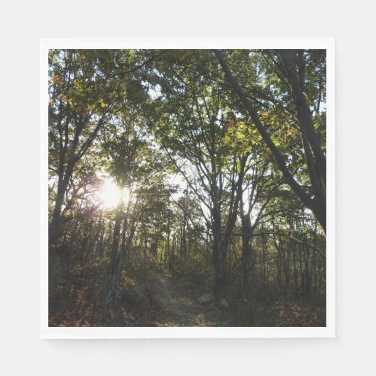 秋の朝シェナンドア国立公園 スタンダードランチョンナプキン (正面)