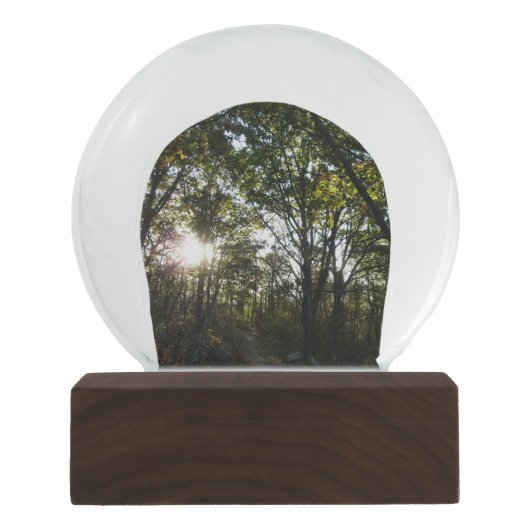 秋の朝シェナンドア国立公園 スノーグローブ (正面)