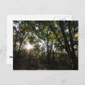 秋の朝シェナンドア国立公園 ポストカード (正面/裏面)