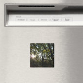 秋の朝シェナンドア国立公園 マグネット (インサイチュ (食洗機))