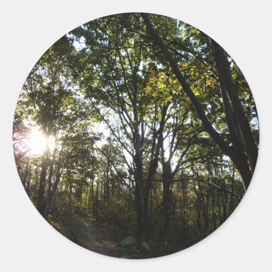 秋の朝シェナンドア国立公園 ラウンドシール (正面)