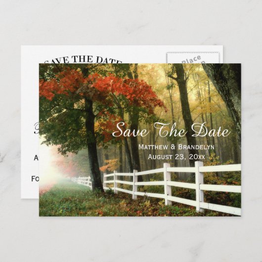 秋の朝日付のポストカー結婚ドを保存 案内ポストカード (正面/裏面)