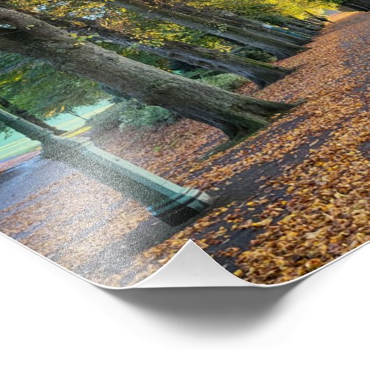 秋の朝 フォトプリント            (角)