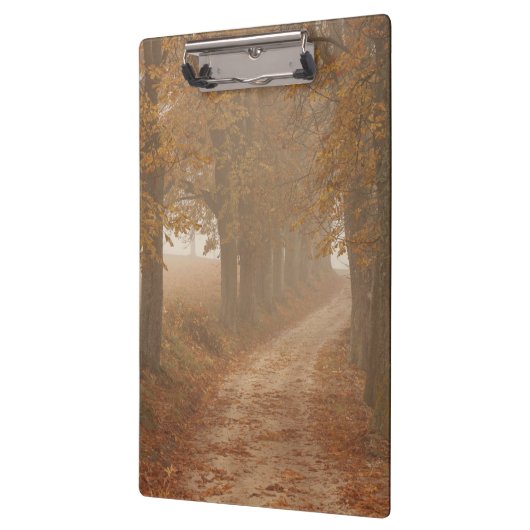 秋の木々が並ぶ木道の写真 クリップボード (左)