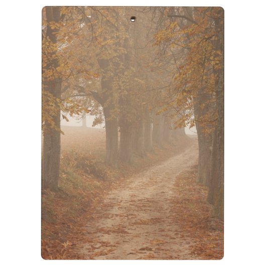 秋の木々が並ぶ木道の写真 クリップボード (裏面)