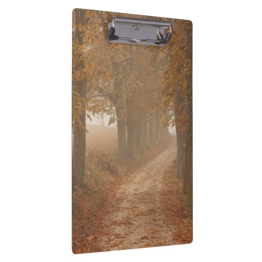 秋の木々が並ぶ木道の写真 クリップボード (右)