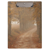 秋の木々が並ぶ木道の写真 クリップボード (正面)