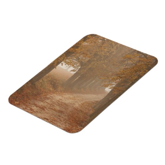 秋の木々が並ぶ木道の写真 マグネット (左側)