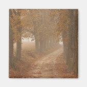 秋の木々が並ぶ木道の写真 マグネット (正面)