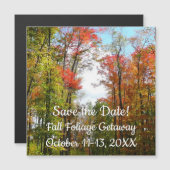 秋の木々とブルースカイ秋の自然写真 (正面/裏面)