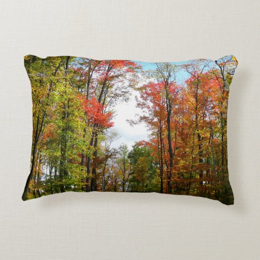 秋の木々とブルースカイ秋の自然写真 アクセントクッション (裏面)