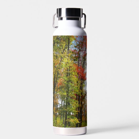 秋の木々とブルースカイ秋の自然写真 ウォーターボトル (正面)