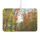 秋の木々とブルースカイ秋の自然写真 カーエアーフレッシュナー (裏面)